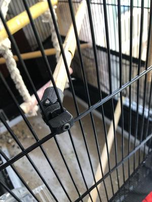 Adjustable birdcage perch