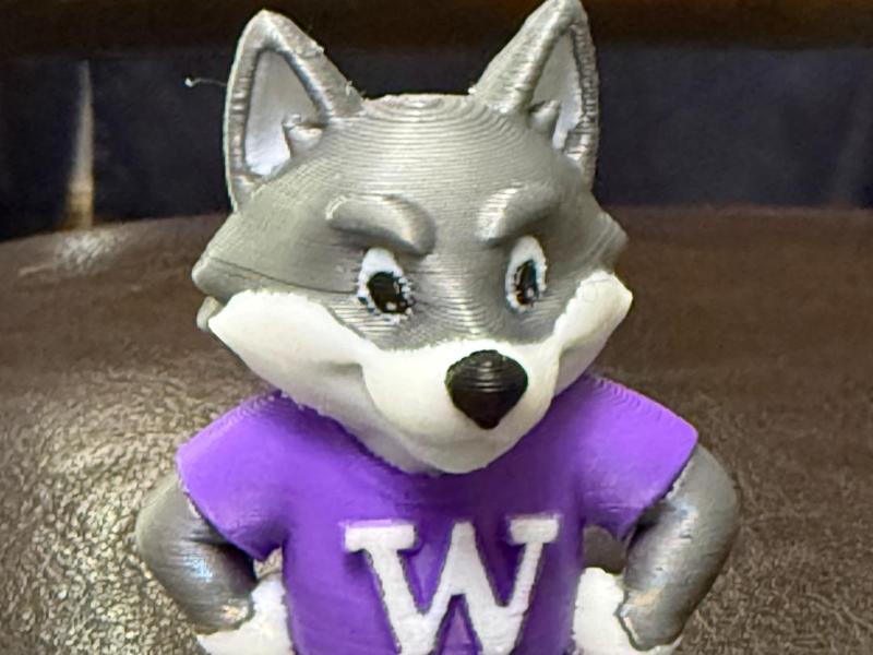 UW Husky