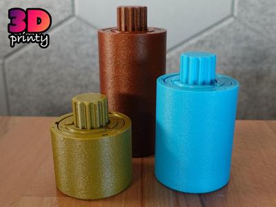 Print-in-Place Twisty Puzzle
