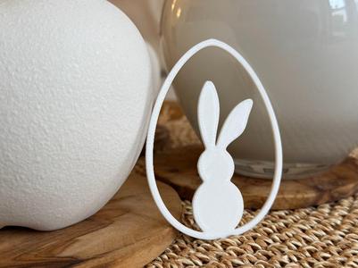 Rabbit in an Egg