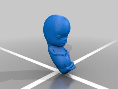 8-week embryo hands pressed