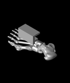 foot card holder 