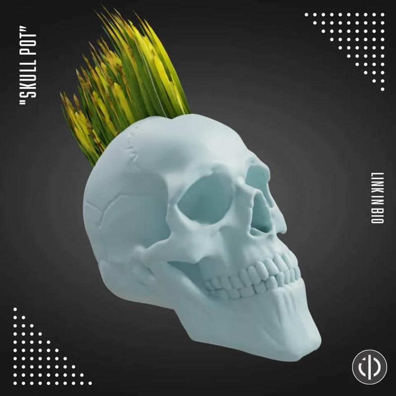 SKULL POT   