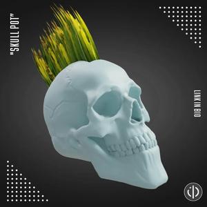 SKULL POT   
