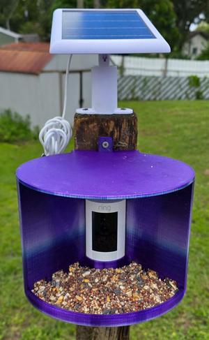 BIRD FEEDER WITH RING CAMERA
