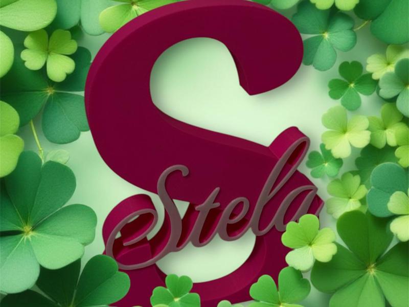 Stela decoration name