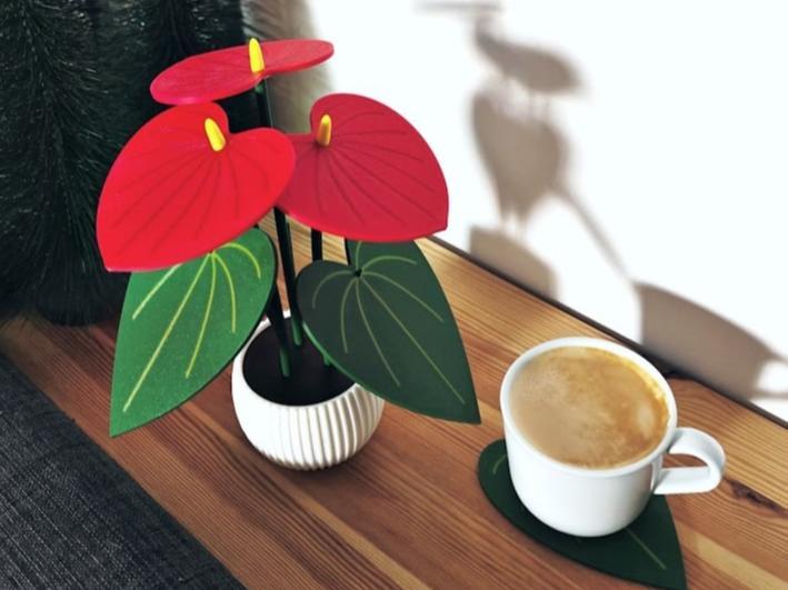 Anthurium Coster Plant