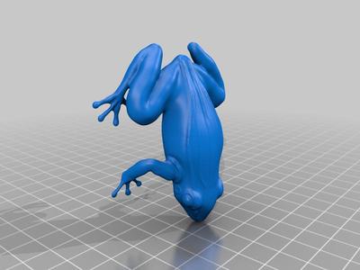 Simple frog