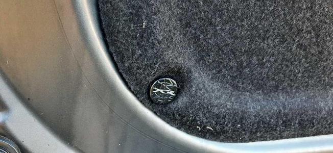 Ford Falcon trim clips