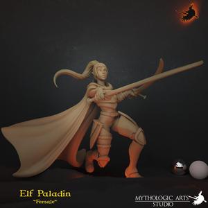 Lady Elf Paladin