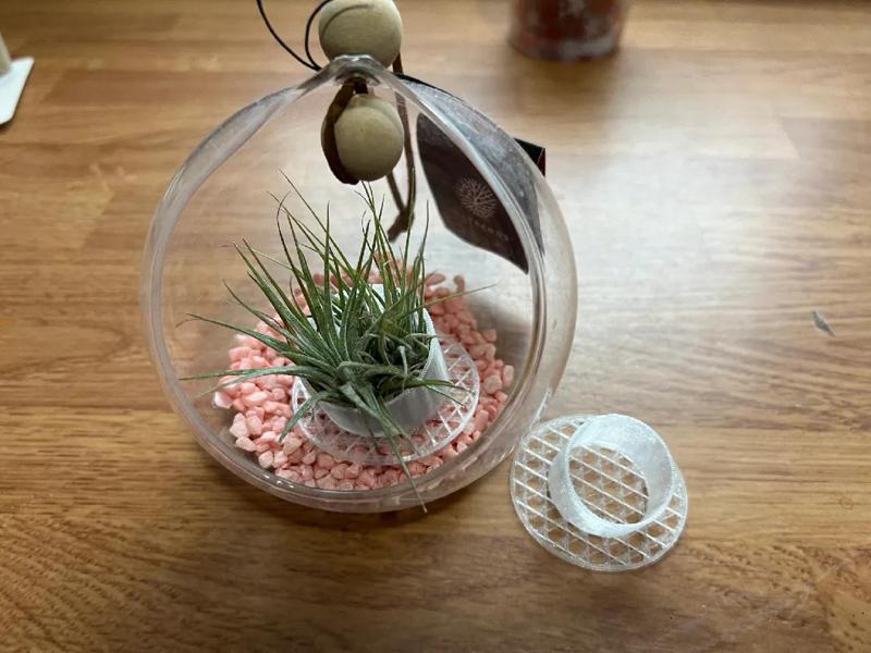 An Air-Plant Base / Stand   