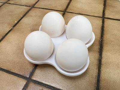 Egg Holder   