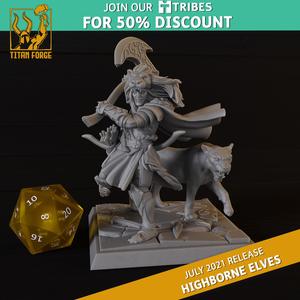 Highborn Elves Nature Protector