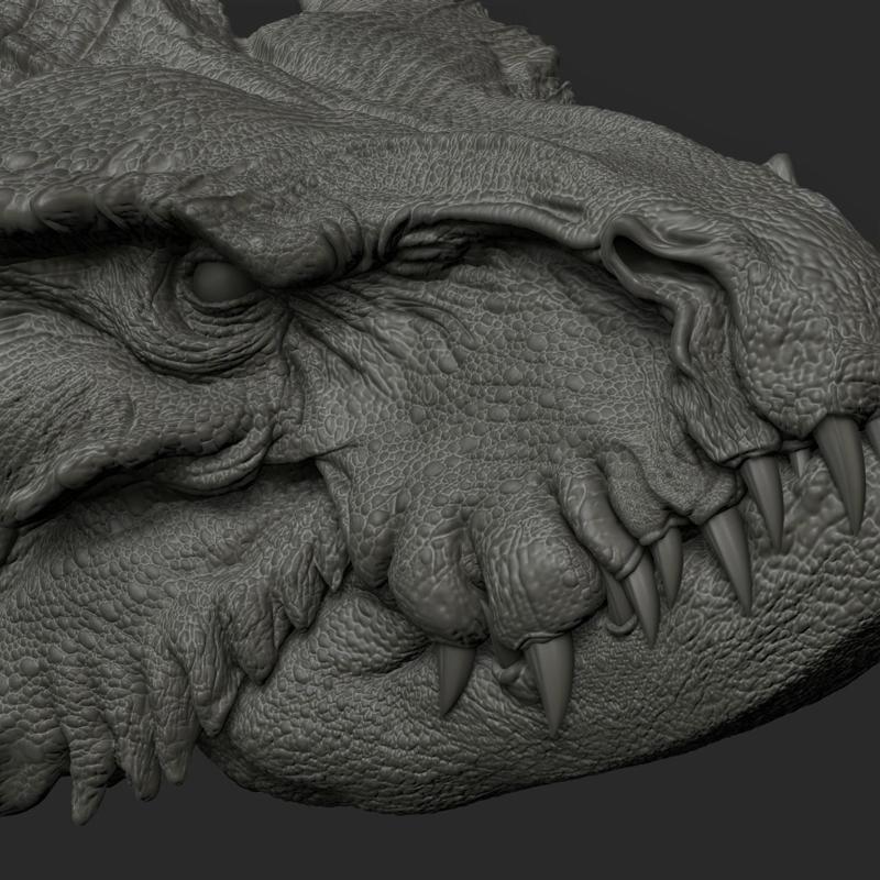 highly Detailed Dragon Head .