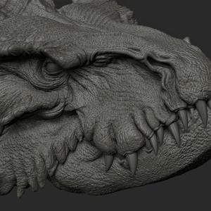 highly Detailed Dragon Head .