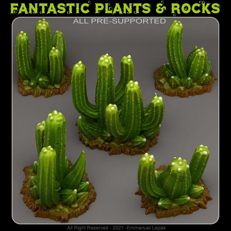 POISONOUS CACTUS