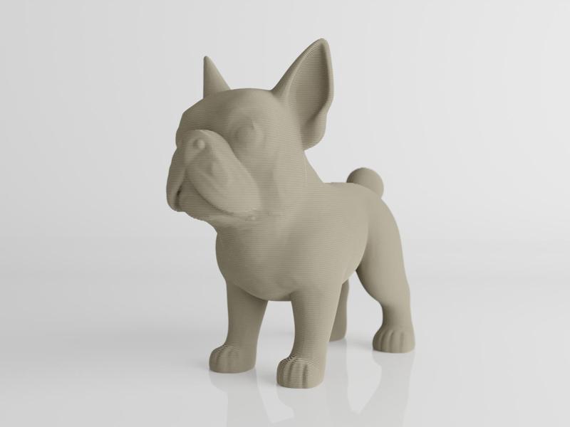 french bulldog
