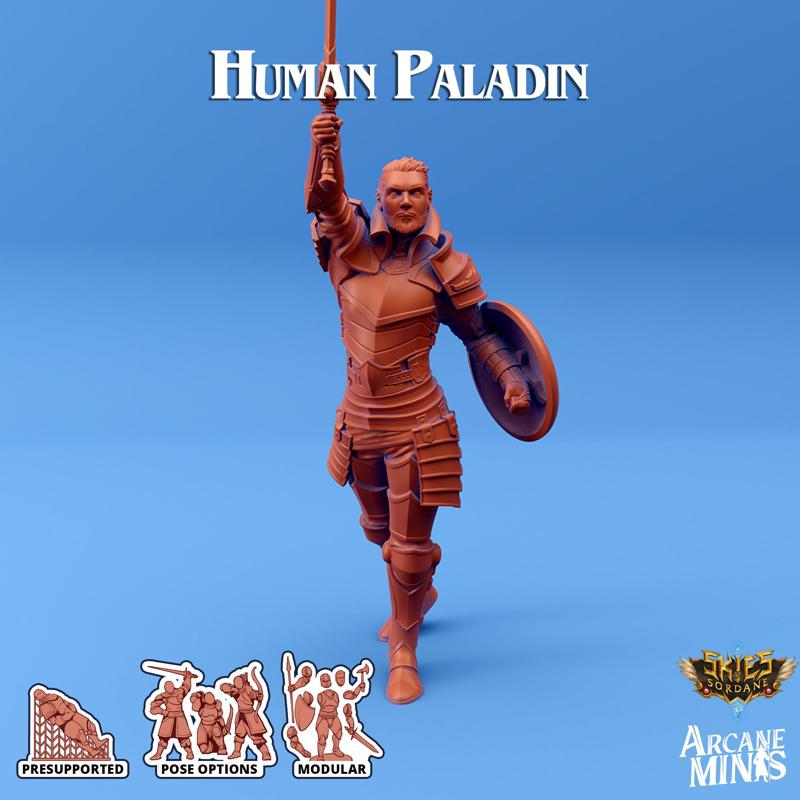 Human Paladin - Merchant Guilds