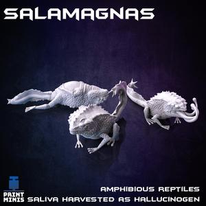 Salamagna Alien Frogs - Distillery Collection