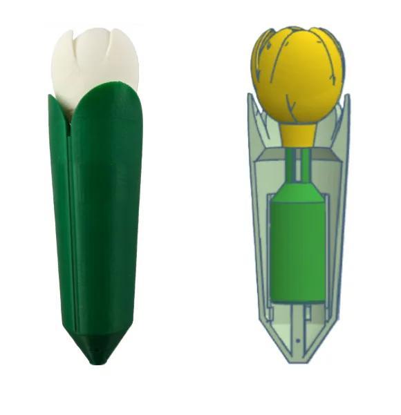 Pflanzenbewässerung mit aufsteigender Blume   