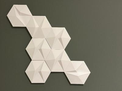 hex panel