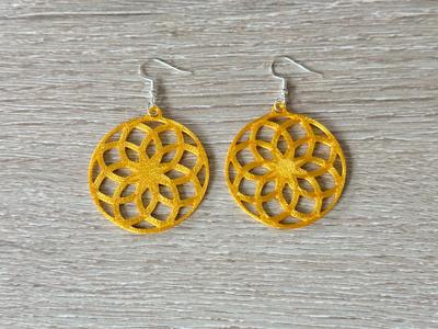 new circular earring