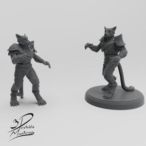 Tabaxi Monk