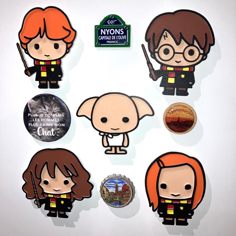 5 Harry Potter Magnets #1