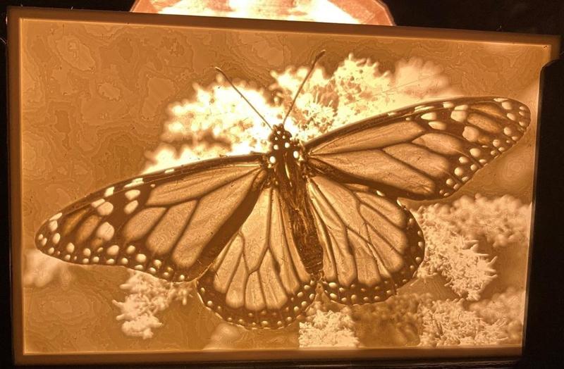 Butterfly Lithopane
