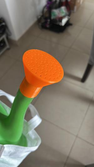 Watering Can Rose