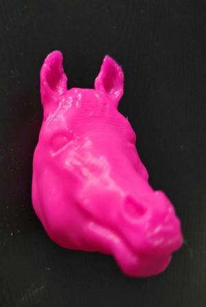 Horse Head
