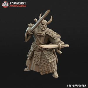 Japanese Ronin hero