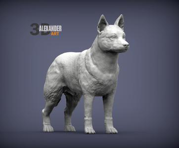 Australian Cattle Dog 3D print model