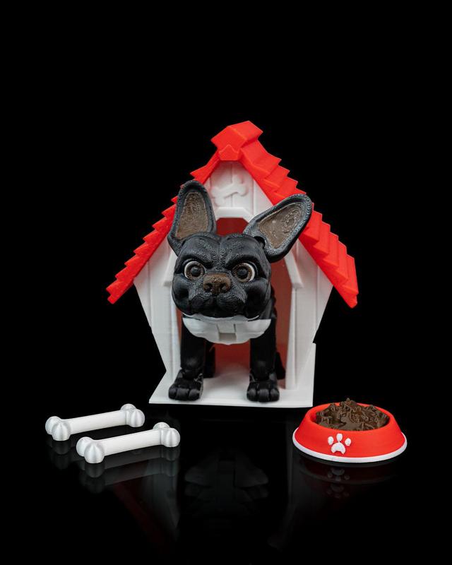 Stella, the French Bulldog