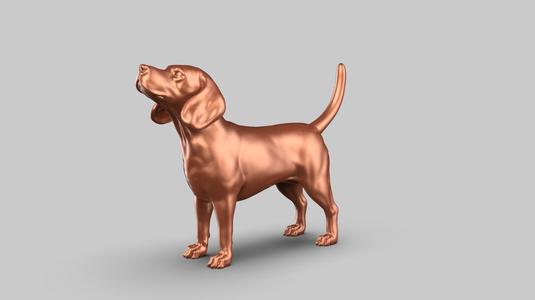 Beagle Pose 01