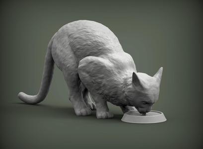 cat drinks milk 3D print model
