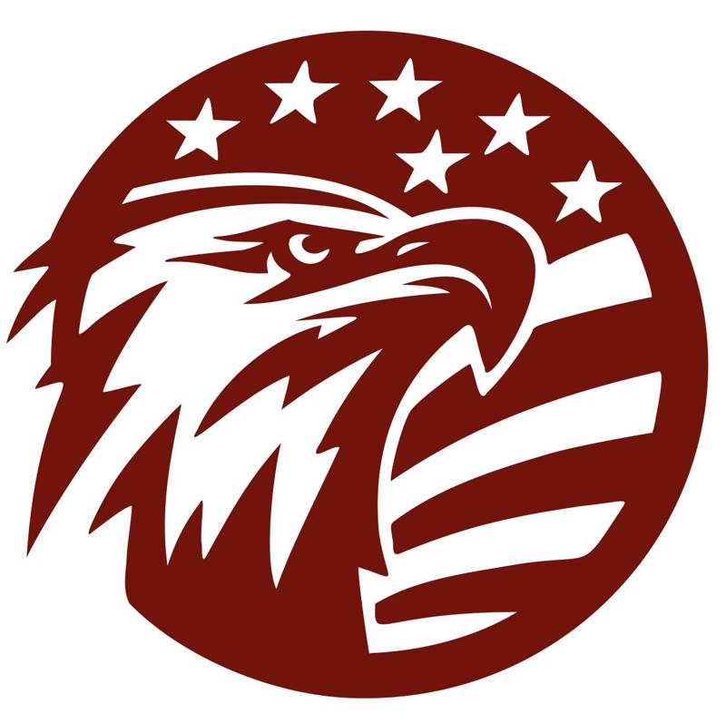 usa flag eagle