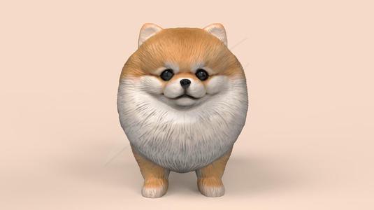 Cute Pomerranian STL and VRML