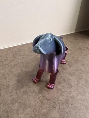 Dachshund Wiener Dog - Articulated Friendly Sausage Dog