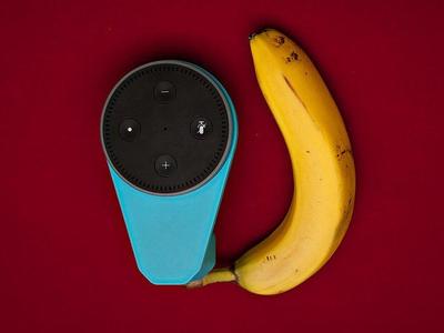 Echo Dot Outlet Mount