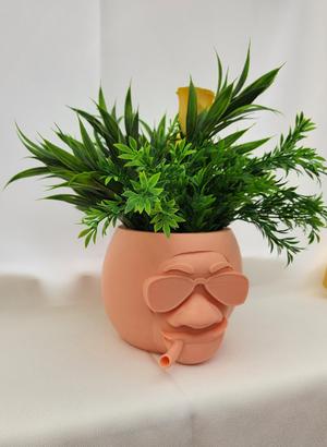 Vase head planter, rasta man, weed, joint, pot, vase