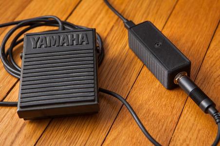 PC Footswitch with Sustain Pedal
