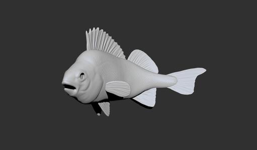Fish Perch