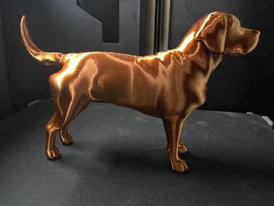Labrador Retriever dog model