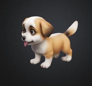 cute dog