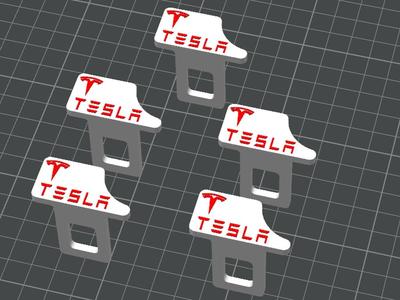 Tesla seatbelt clips
