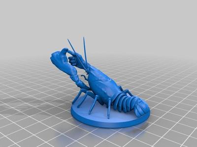Buddy Lobster