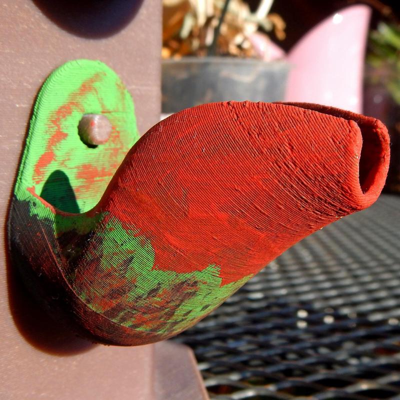 Oophaga pumilio bromeliad leaf 3 2022.