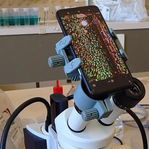 UNIVERSAL smartphone->eyepiece Adaptor (Microscope/telescope/binoculars)