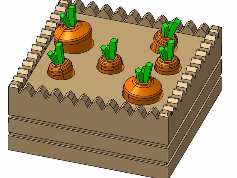 montessori toy carrot garden